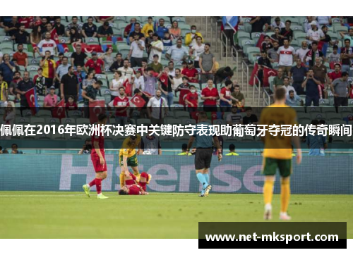 佩佩在2016年欧洲杯决赛中关键防守表现助葡萄牙夺冠的传奇瞬间