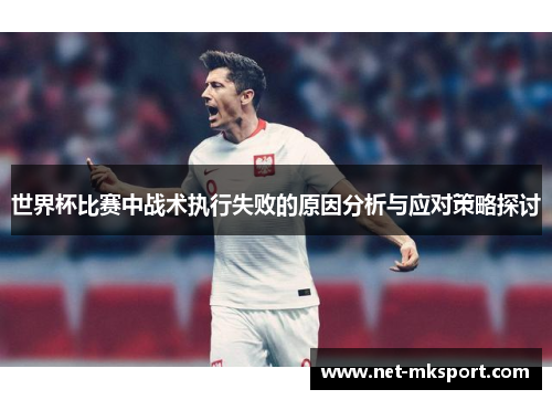世界杯比赛中战术执行失败的原因分析与应对策略探讨