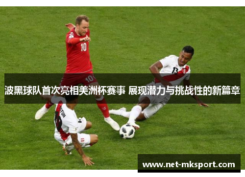 波黑球队首次亮相美洲杯赛事 展现潜力与挑战性的新篇章