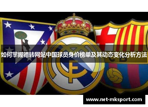 如何掌握德转网站中国球员身价榜单及其动态变化分析方法