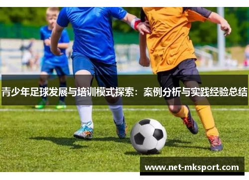 青少年足球发展与培训模式探索：案例分析与实践经验总结